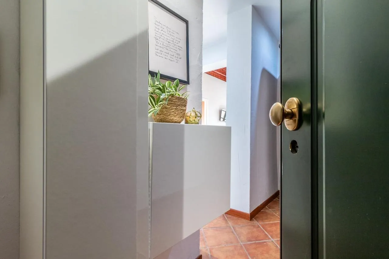 Design Apartments Sassari-Jungle Queen